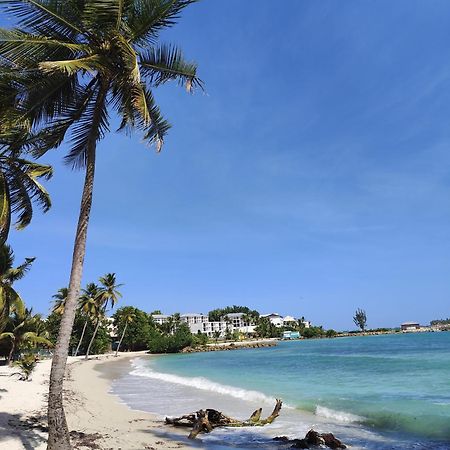 Studio West-Indies Residence Savane Et Archipel Le Gosier  Bagian luar foto