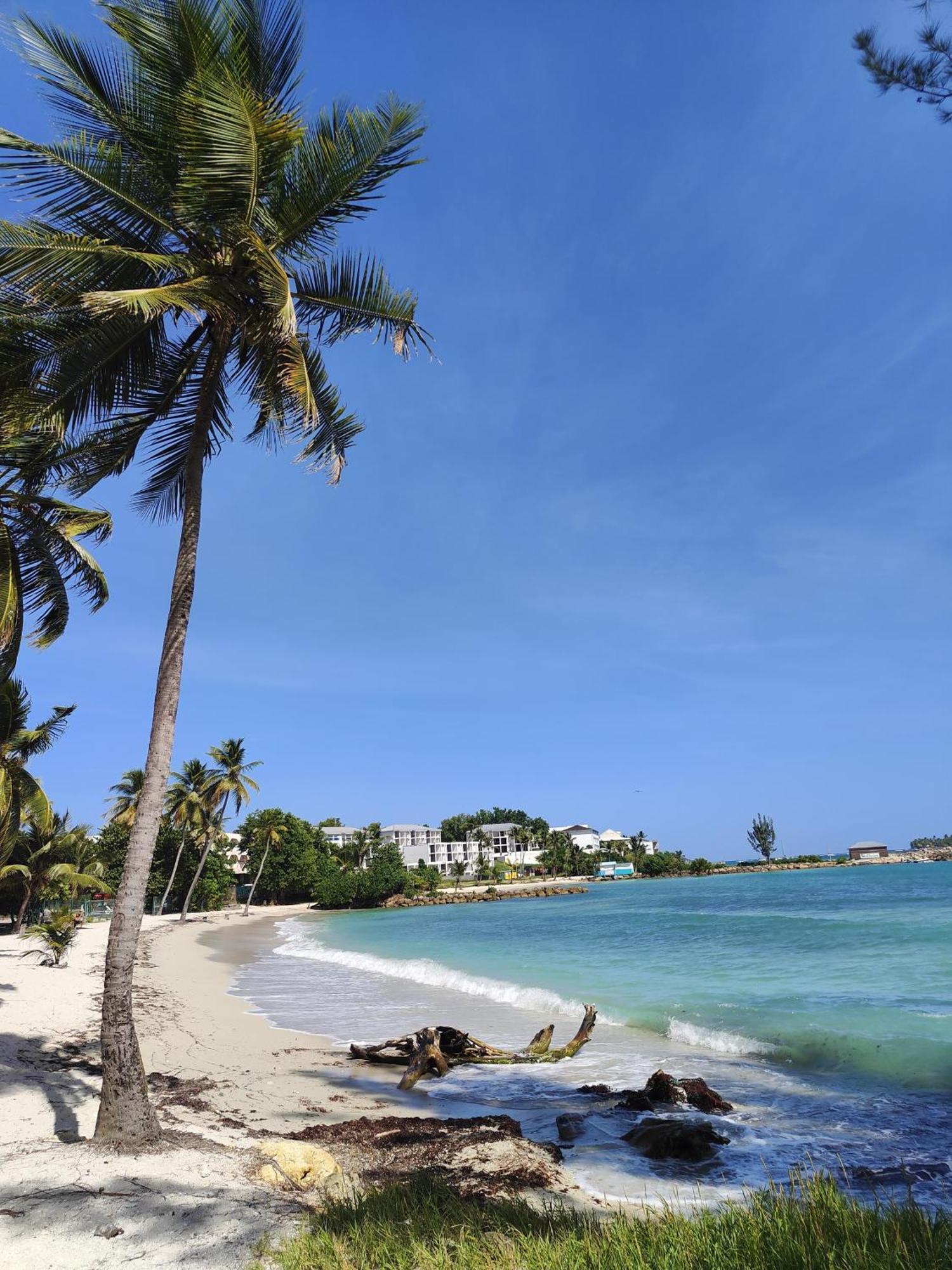 Studio West-Indies Residence Savane Et Archipel Le Gosier  Bagian luar foto
